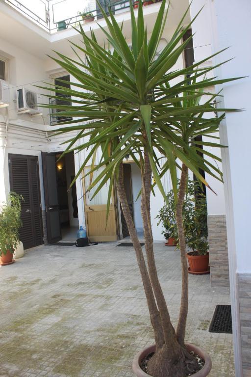 B&B Nuovo Reale - Centro Storico Lecce